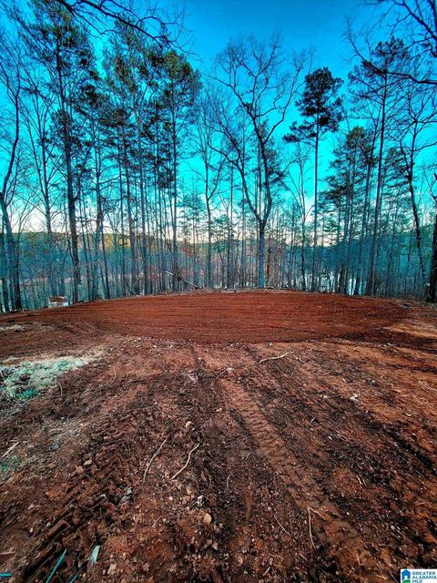 63 Arrowhead Dr, Delta, AL 36258 photo 1