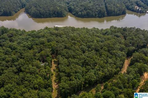 63 Arrowhead Dr, Delta, AL 36258 photo 9