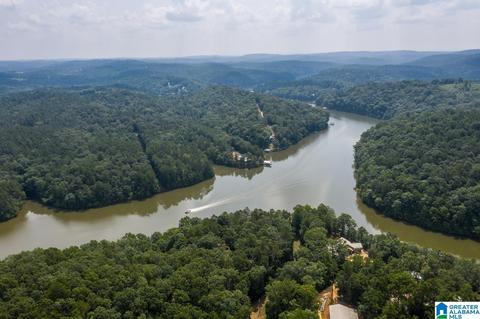 63 Arrowhead Dr, Delta, AL 36258 photo 8