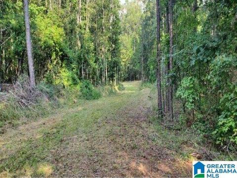 63 Arrowhead Dr, Delta, AL 36258 photo 20