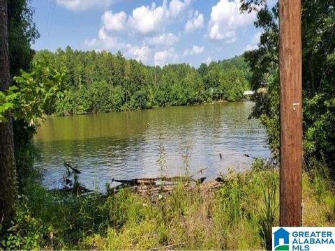 63 Arrowhead Dr, Delta, AL 36258 photo 2