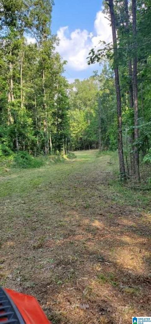 63 Arrowhead Dr, Delta, AL 36258 photo 19