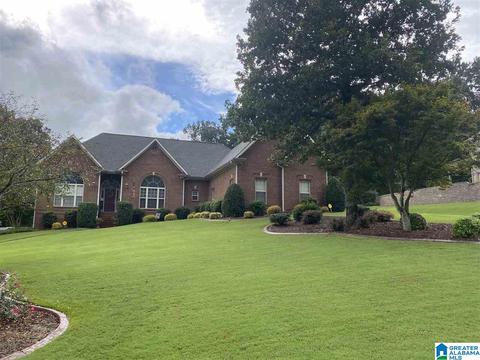 22522 Iron Masters Loop, Mc Calla, AL 35111 photo 1