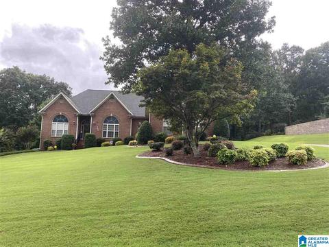 22522 Iron Masters Loop, Mc Calla, AL 35111 photo 4