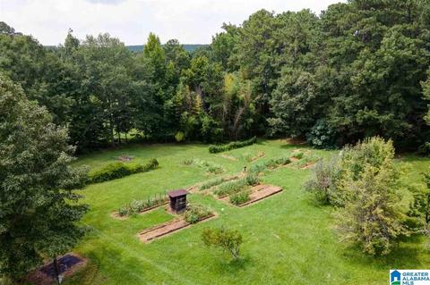 2424 Highway 83, Vincent, AL 35178 photo 42
