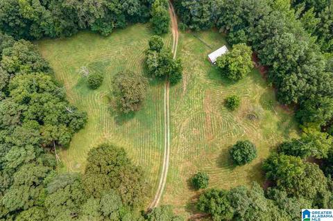 2424 Highway 83, Vincent, AL 35178 photo 5