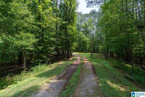2424 Highway 83, Vincent, AL 35178 photo 9