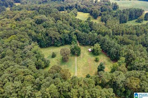 2424 Highway 83, Vincent, AL 35178 photo 4