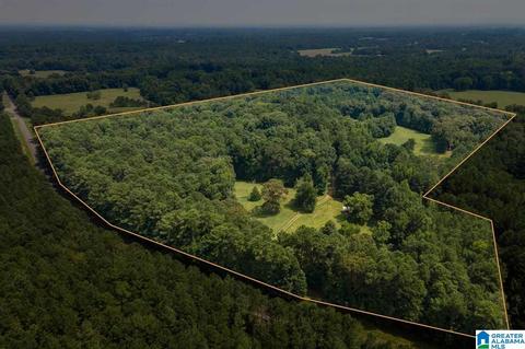 2424 Highway 83, Vincent, AL 35178 photo 3