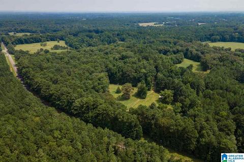2424 Highway 83, Vincent, AL 35178 photo 2