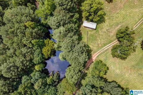 2424 Highway 83, Vincent, AL 35178 photo 8