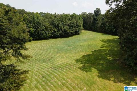 2424 Highway 83, Vincent, AL 35178 photo 45