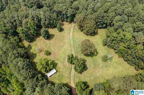 2424 Highway 83, Vincent, AL 35178 photo 7