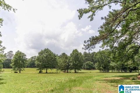 2007 Richlan Ct, Jasper, AL 35503 photo 30