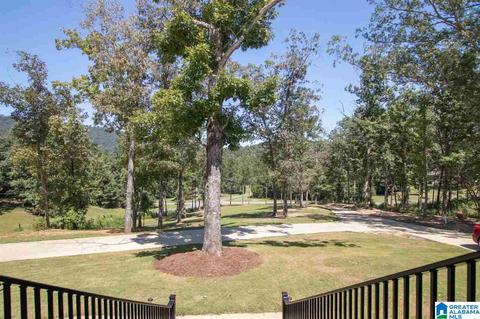 504 Aubra Rd, Steele, AL 35987 photo 47