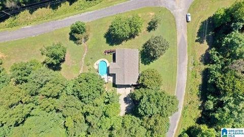 449 Aubra Rd, Steele, AL 35987 photo 29
