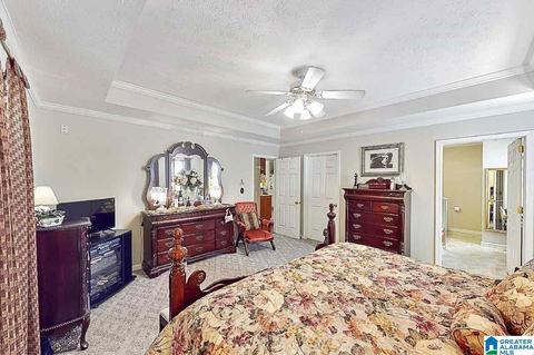449 Aubra Rd, Steele, AL 35987 photo 16