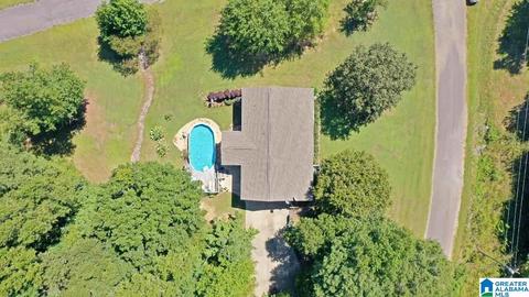 449 Aubra Rd, Steele, AL 35987 photo 30