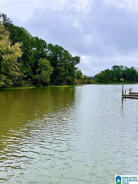 291 Seddon Rd, Riverside, AL 35135 photo 2