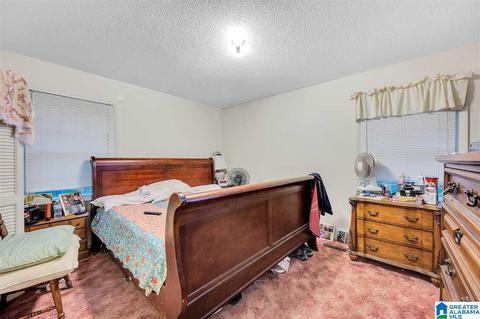 325 Lisa Rd, Jasper, AL 35501 photo 11