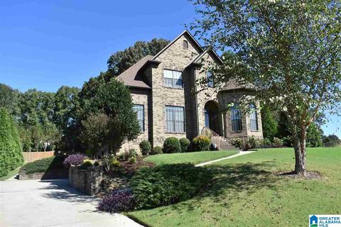 53 Hidden Highlands Dr, Warrior, AL 35180 photo 45