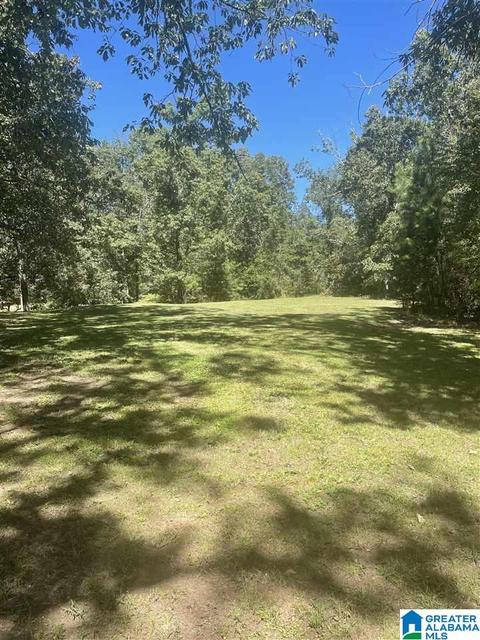 75 Echo Cir, Warrior, AL 35180 photo 27