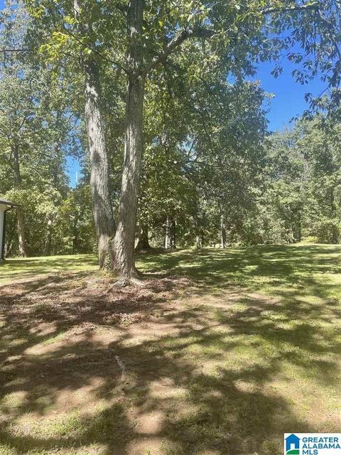 75 Echo Cir, Warrior, AL 35180 photo 24