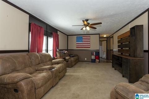22135 Eastern Valley Rd, Mc Calla, AL 35111 photo 22