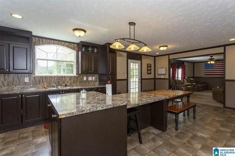 22135 Eastern Valley Rd, Mc Calla, AL 35111 photo 21