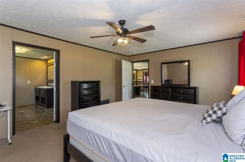 22135 Eastern Valley Rd, Mc Calla, AL 35111 photo 27