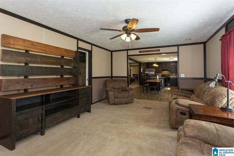 22135 Eastern Valley Rd, Mc Calla, AL 35111 photo 25