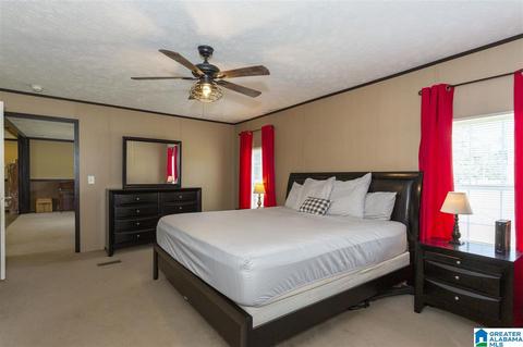 22135 Eastern Valley Rd, Mc Calla, AL 35111 photo 4