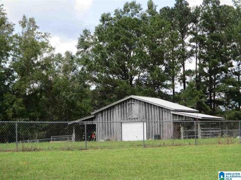 4100 Gowan Rd, Clanton, AL 35045 photo 3