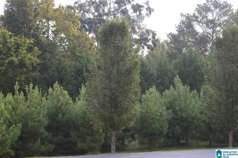 6021 Parkview Trl #310, Sylvan Springs, AL 35118