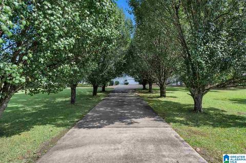 385 Rouse Rd, Dora, AL 35062 photo 49