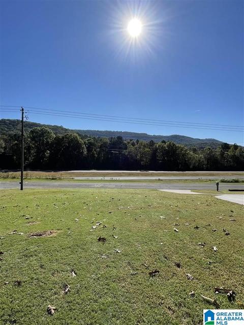 15745 Remlap Dr, Remlap, AL 35133 photo 2