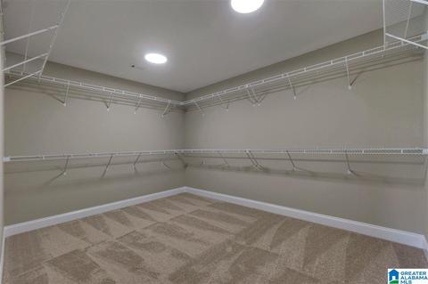 175 Crest Loop Rd, Clanton, AL 35045 photo 28