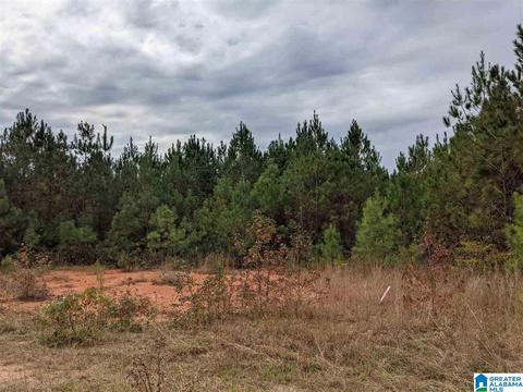 0 County Road 31 1 1 Muscadine Al 36269 29 Photos Mls 1303161 Movoto