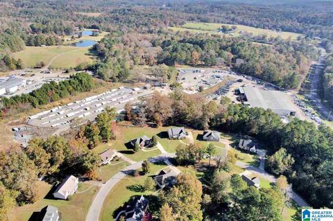 220 Abbey Rd, Warrior, AL 35180 photo 36