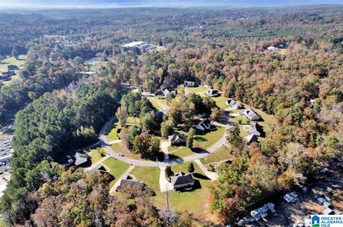 220 Abbey Rd, Warrior, AL 35180 photo 38