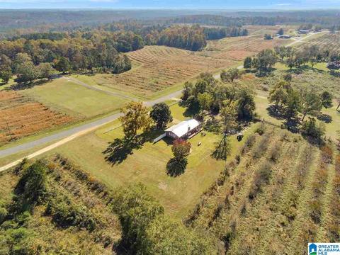 9196 County Road 37, Clanton, AL 35045 photo 1