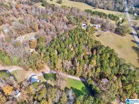 2865 Warrior Jasper Rd, Warrior, AL 35180 photo 30