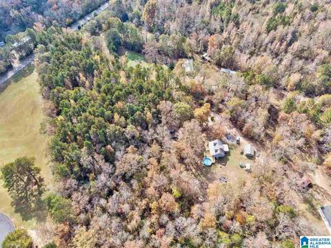 2865 Warrior Jasper Rd, Warrior, AL 35180 photo 28