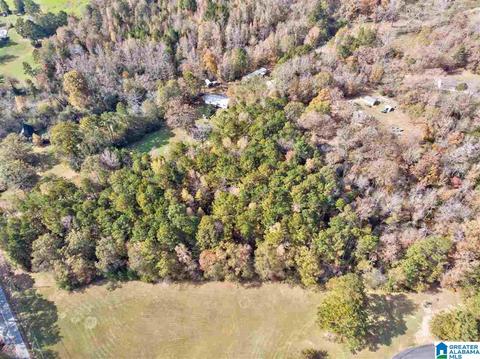 2865 Warrior Jasper Rd, Warrior, AL 35180 photo 29