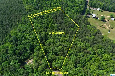 00007 Springhollow Rd #7, Ashville, AL 35953