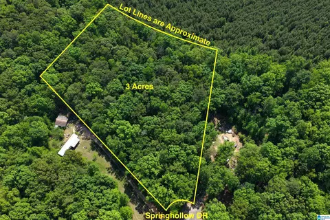 0009 Springhollow Rd #9, Ashville, AL 35953