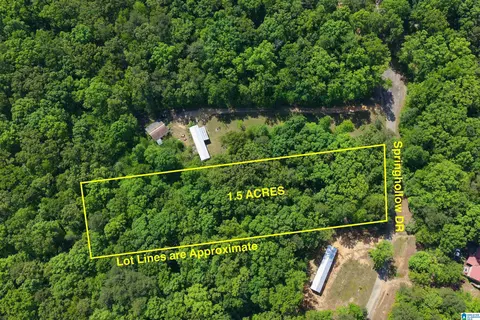 000 Springhollow Rd #11, Ashville, AL 35953