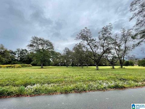116 Candler St, Clanton, AL 35045 photo 19