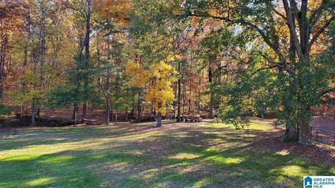 144 Silverleaf Dr, Pelham, AL 35124 photo 43