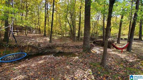144 Silverleaf Dr, Pelham, AL 35124 photo 45